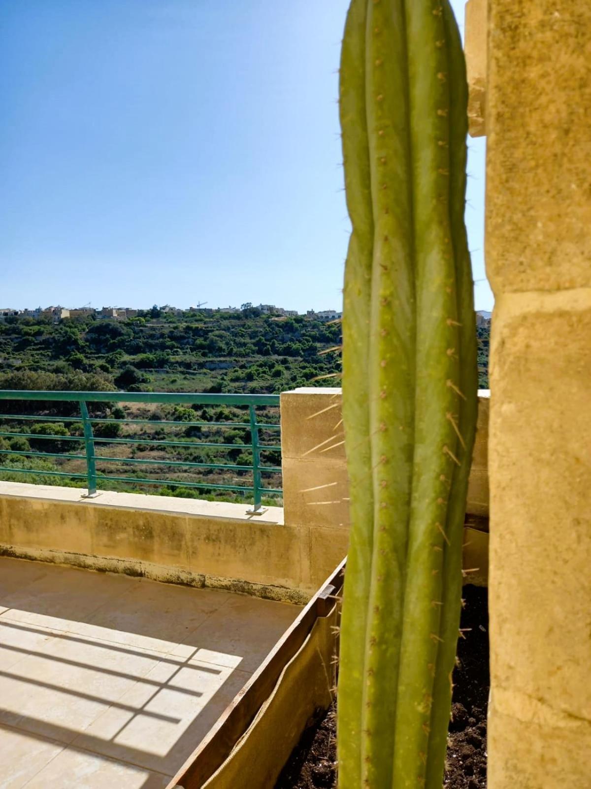 Hotel Paradise Gardens à Xagħra Extérieur photo